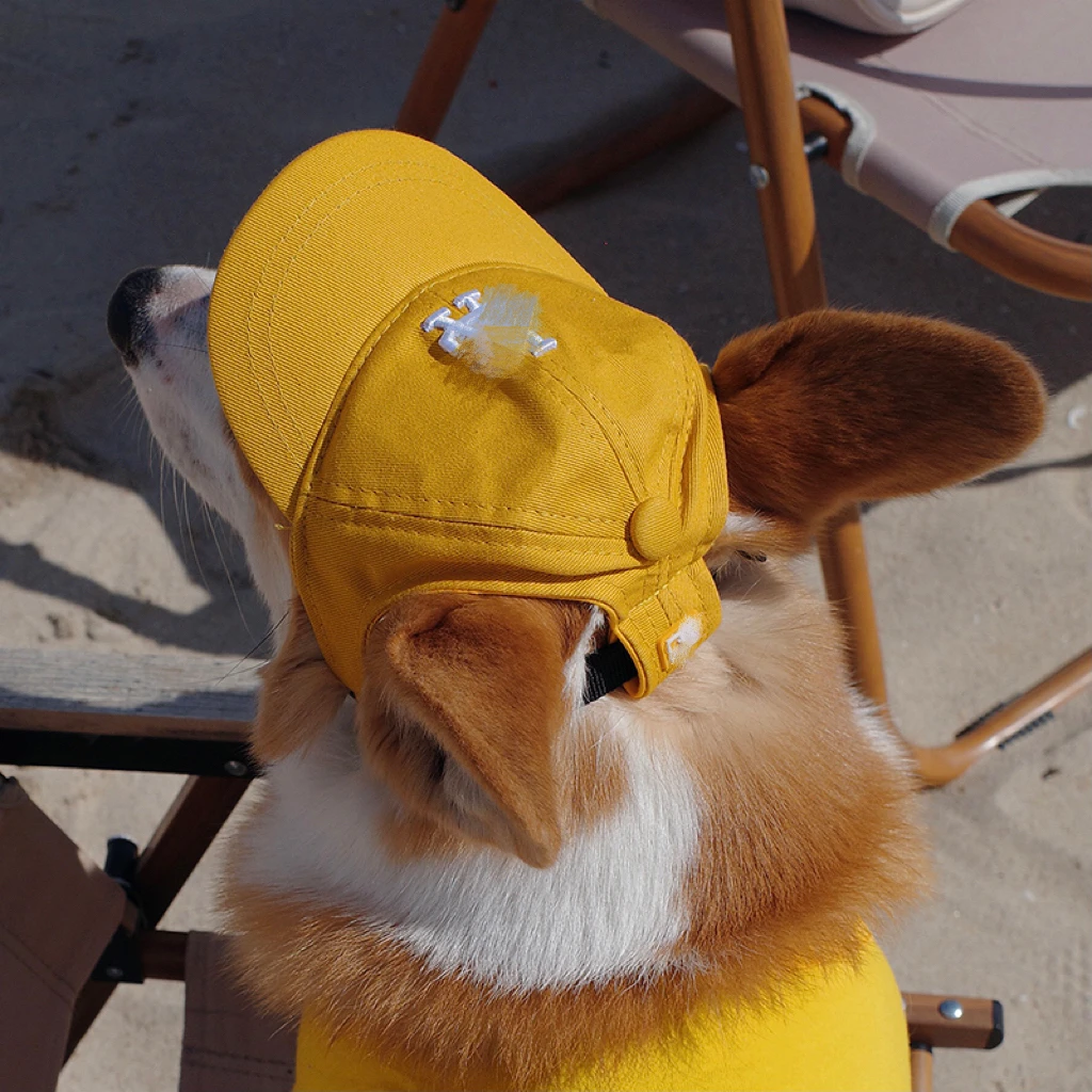 Pet the dog собака выходит на улицу фотографии популярного логотипа солнцезащитная шляпа с ушками росы little red (красная бейсболка с регулируемым корги
