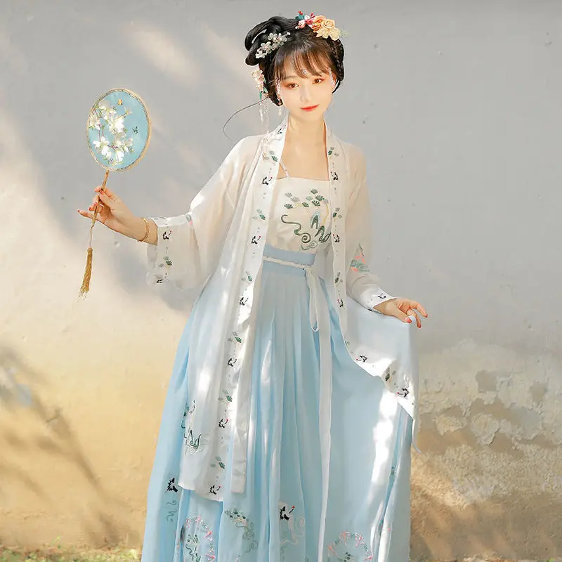 Костюм Ханфу для взрослых, Женский костюм Принцессы в китайском стиле, Одежда с вышивкой Династии Сун, Традиционное Элегантное платье для танцев