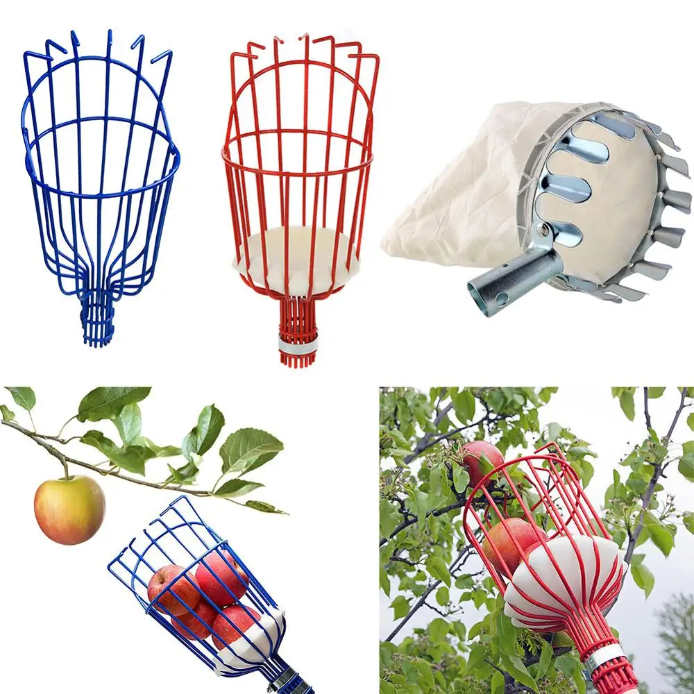 Сельскохозяйственные садовые инструменты Головка для сбора фруктов из углеродистой стали для садоводства, устройство для сбора фруктов в теплице