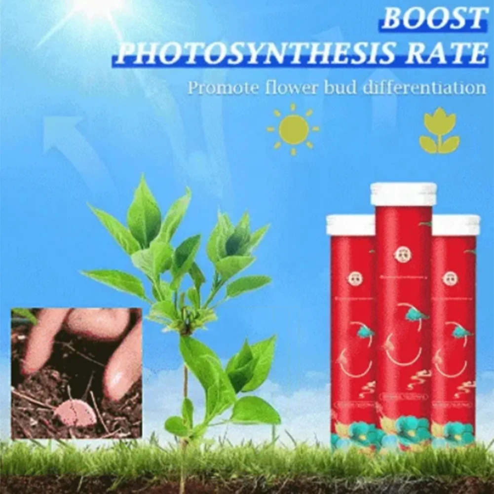Универсальные таблетки для садоводческих растений с замедленным высвобождением, Органические удобрения, Суккуленты для цветов в горшках, Питательные таблетки для сада